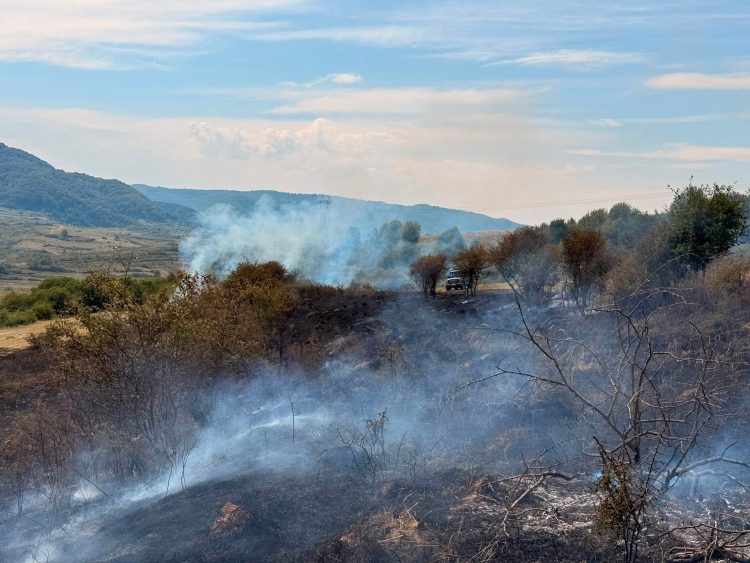 Incendiu de vegetație uscată la Fântânele. Pompierii voluntari au intervenit rapid