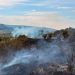 Incendiu de vegetație uscată la Fântânele. Pompierii voluntari au intervenit rapid