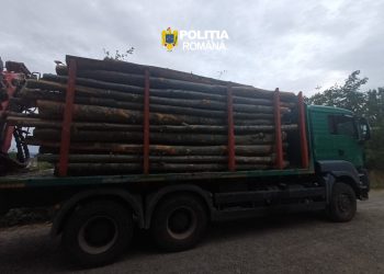 Bărbat de 33 de ani din Petrova, cercetat după ce ar fi transportat 17,10 mc de lemn fără acte
