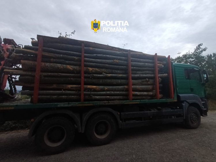 Bărbat de 33 de ani din Petrova, cercetat după ce ar fi transportat 17,10 mc de lemn fără acte