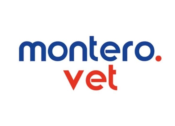 MONTERO.VET BAIA MARE caută CONTABIL CU EXPERIENȚĂ, EXPERT CONTABIL CU EXPERIENȚǍ. Full-time, activitate la sediul companiei