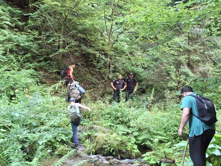 Salvamont Maramureș – 7 intervenții și 14 persoane salvate sau asistate într-o singură săptămână