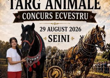 Festival ecvestru și târg expozițional de animale, sâmbătă, la Seini