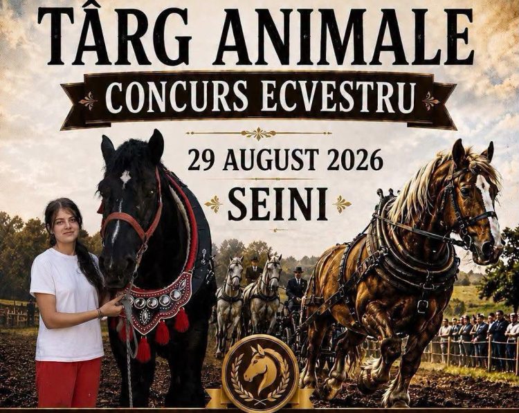 Festival ecvestru și târg expozițional de animale, sâmbătă, la Seini