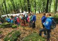 Ziua Vulcanilor, sărbătorită în Baia Sprie. A doua ediție a evenimentului „Povestind despre vulcani”