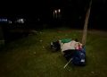 Imaginile disperării… Au dormit ca la stână!