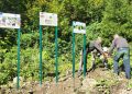 Panouri informative pentru protejarea biodiversității, amplasate în Parcul Național Munții Rodnei