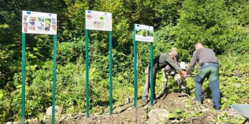 Panouri informative pentru protejarea biodiversității, amplasate în Parcul Național Munții Rodnei