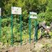 Panouri informative pentru protejarea biodiversității, amplasate în Parcul Național Munții Rodnei