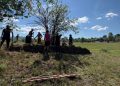 Vestigii și morminte scoase la lumină la Breb Copăciș în urma cercetărilor arheologice