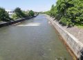 Săsarul și Firiza, curățate de deșeurile plutitoare. Două sisteme speciale vor fi instalate în Baia Mare