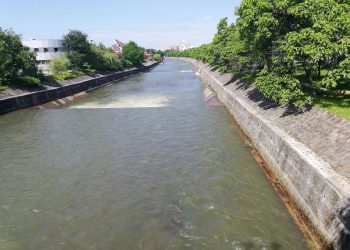 Săsarul și Firiza, curățate de deșeurile plutitoare. Două sisteme speciale vor fi instalate în Baia Mare
