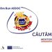 ASSOC caută mentori și șoferi pentru o nouă echipă de voluntari internaționali