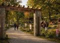 Parcul Castanilor, o nouă viziune pentru Baia Mare: natură, identitate și spațiu pentru comunitate