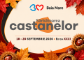 Sărbătoarea Castanelor 2026. Programul complet al celor patru zile de evenimente la Baia Mare