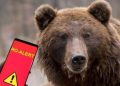 URS în Ulmoasa! RO-ALERT transmis pentru locuitori