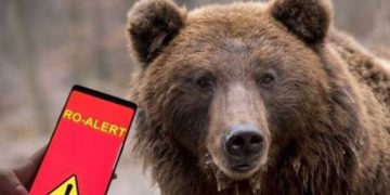 URS în Ulmoasa! RO-ALERT transmis pentru locuitori