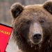 URS în Ulmoasa! RO-ALERT transmis pentru locuitori