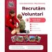 Vrei să devii voluntar? Crucea Roșie Maramureș își mărește echipa