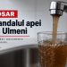 DOSAR | Scandalul apei din Ulmeni: Diana Chiș cere răspunsuri. Ce nu lămurește răspunsul final al VITAL