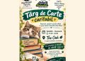 În weekend, o carte poate face un bine! Băimărenii, chemați la un târg caritabil