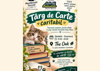 În weekend, o carte poate face un bine! Băimărenii, chemați la un târg caritabil