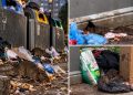 Șobolanii, tot mai des semnalați în Baia Mare. Locuitorii cer deratizare și intervenția autorităților