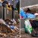 Șobolanii, tot mai des semnalați în Baia Mare. Locuitorii cer deratizare și intervenția autorităților