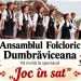 Dumbrăvița se îmbracă în straie populare – „Joc în sat”, un spectacol de folclor cu invitați din Maramureș