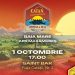 Baia Mare devine, pentru o zi, capitala jocurilor de societate. Campionatul Național de CATAN ajunge în Maramureș
