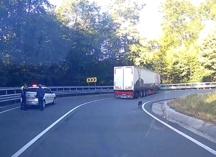 Accident pe DN18, în Pasul Gutâi. Trafic monitorizat de polițiști