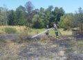 Două incendii de vegetație uscată, stinse de pompierii voluntari din Târgu Lăpuș și de localnici