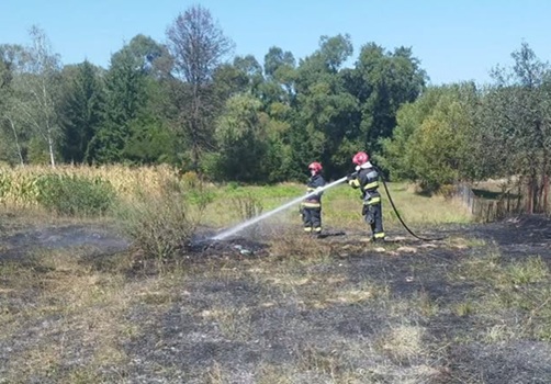 Două incendii de vegetație uscată, stinse de pompierii voluntari din Târgu Lăpuș și de localnici