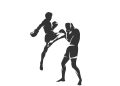 „Cupa A.C.S Kickbox Baia Mare” revine cu ediția a VI-a. Zece centuri, puse în joc