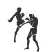 „Cupa A.C.S Kickbox Baia Mare” revine cu ediția a VI-a. Zece centuri, puse în joc
