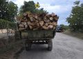 Lemne fără documente, transportate cu tractorul pe o stradă din Sighetu Marmației. Polițiștii au confiscat 3 mc