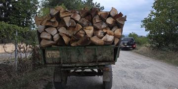 Lemne fără documente, transportate cu tractorul pe o stradă din Sighetu Marmației. Polițiștii au confiscat 3 mc