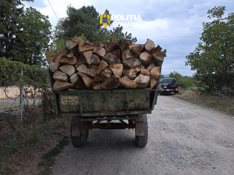 Lemne fără documente, transportate cu tractorul pe o stradă din Sighetu Marmației. Polițiștii au confiscat 3 mc