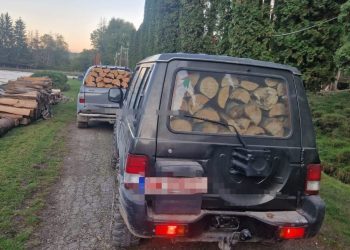 Polițiștii au oprit mai multe transporturi de lemn la Săpânța și Sarasău. Ce nereguli au găsit