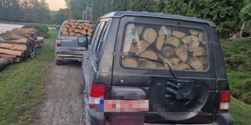 Polițiștii au oprit mai multe transporturi de lemn la Săpânța și Sarasău. Ce nereguli au găsit