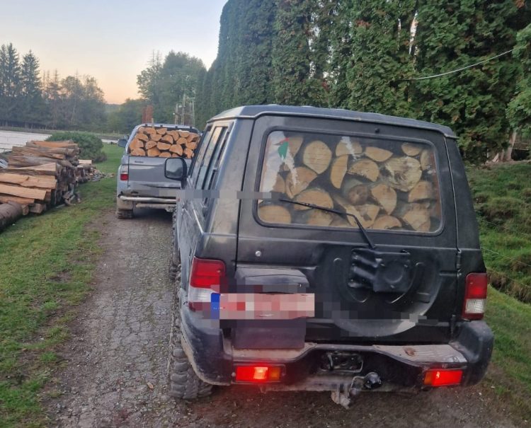 Polițiștii au oprit mai multe transporturi de lemn la Săpânța și Sarasău. Ce nereguli au găsit