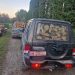 Polițiștii au oprit mai multe transporturi de lemn la Săpânța și Sarasău. Ce nereguli au găsit