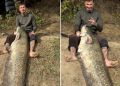 Captură impresionantă pe Someș – Un tânăr din Zalău a prins un somn de 2,25 metri, după trei ore de luptă