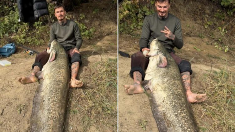 Captură impresionantă pe Someș – Un tânăr din Zalău a prins un somn de 2,25 metri, după trei ore de luptă