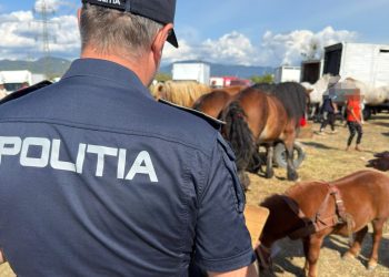 Controale la Festivalul Internațional Ecvestru din Baia Mare – Amenzi de peste 7.500 de lei și dosar penal