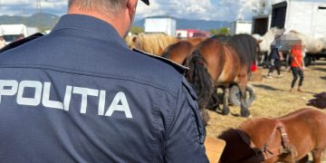 Controale la Festivalul Internațional Ecvestru din Baia Mare – Amenzi de peste 7.500 de lei și dosar penal