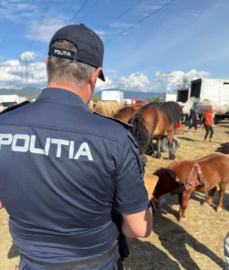 Controale la Festivalul Internațional Ecvestru din Baia Mare – Amenzi de peste 7.500 de lei și dosar penal