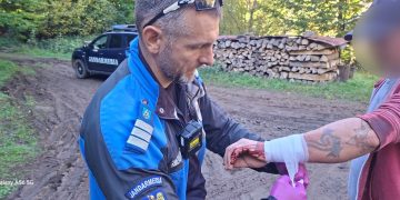 Bărbat atacat și mușcat de un câine în timp ce culegea ciuperci, în zona Valea Albă