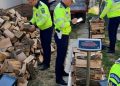 Scandal nou în poliție – Sindicatul Europol acuză că la IPJ Satu Mare polițiștii sunt puși să cântărească lemnele de foc