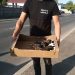 Baia Mare pregătește o nouă strategie pentru câinii fără stăpân. Sterilizări și un laborator veterinar mobil